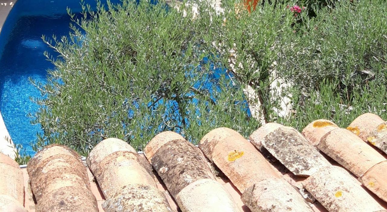 La Maison Des Autres, Piscine Chauffee, Chambres D'Hotes Proches Uzes, Nimes, Pont Du Gard Saint-Genies-de-Malgoires Εξωτερικό φωτογραφία