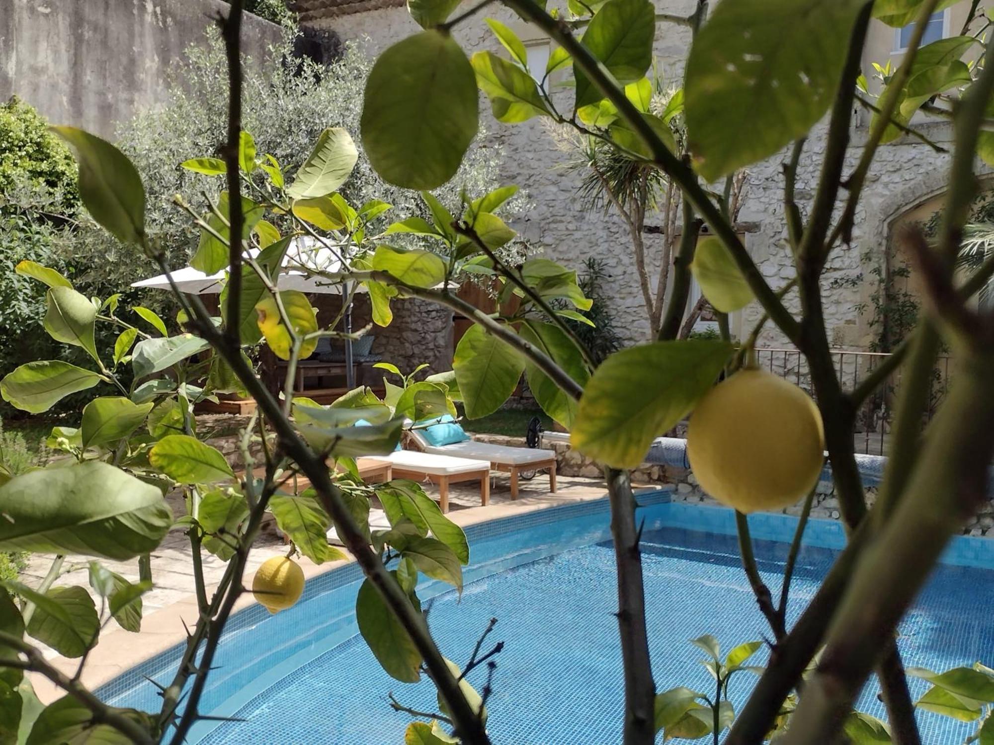 La Maison Des Autres, Piscine Chauffee, Chambres D'Hotes Proches Uzes, Nimes, Pont Du Gard Saint-Genies-de-Malgoires Εξωτερικό φωτογραφία